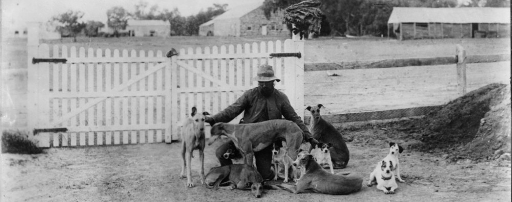 Terry Callaghan -History & Genealogy