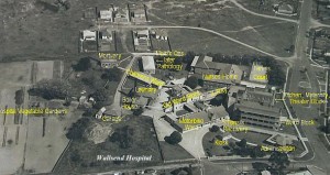 wallsend- hosp